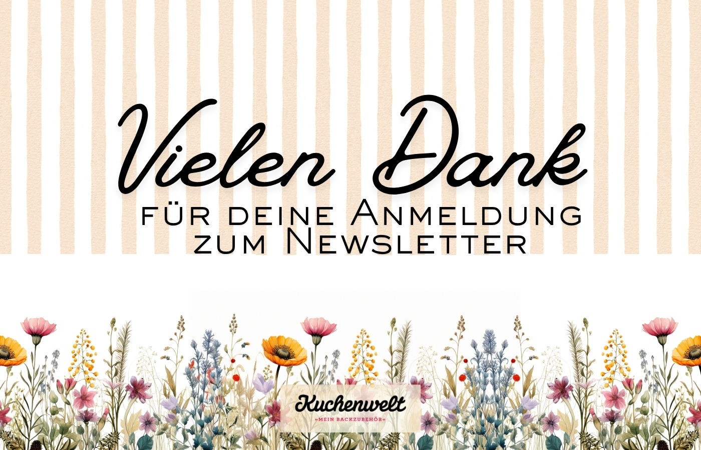 Vielen Dank für die Newsletter Anmeldung 